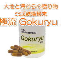 Gokuryu（極流）ミミズ乾燥粉末含有食品